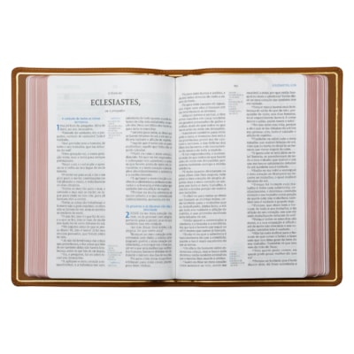 image_66ecd7f3-0d9d-4497-be2a-9399c0901628