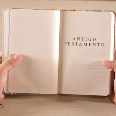 image_c62c1946-8a3e-4b5d-b235-a10e9f77bb57