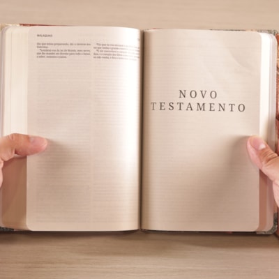 image_b2830875-fe84-486f-b1a3-e52e72d639b1