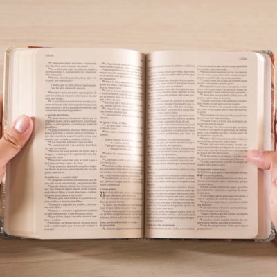 image_2d770f10-de6a-4a94-95c6-900ce9076f60