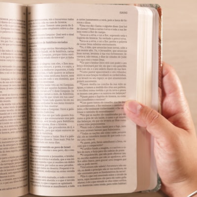 image_aa2bb048-7918-4d66-9f0a-a4a7dcc8ffa1