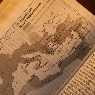 image_dbab7720-65d5-4cdb-b9b2-d136e2dd1b87