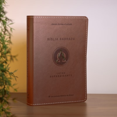 image_33fd5704-644e-48ba-b0c5-27ddfecd81a9