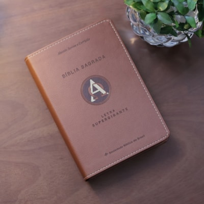 image_a729a713-8ac5-4067-bd4c-ffa0023f32f2