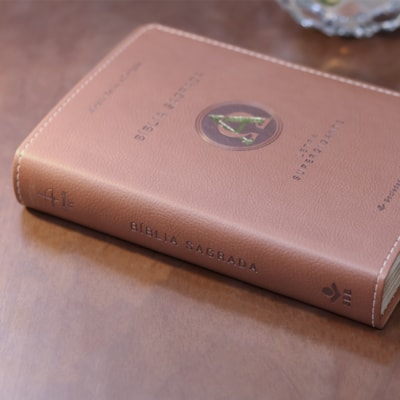 image_8c954046-abb9-4142-a7e5-e9552d40a220