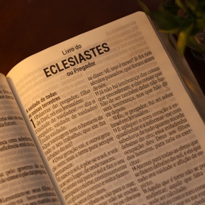 image_ec93550b-96cc-4f1a-96af-2cb649483eb3