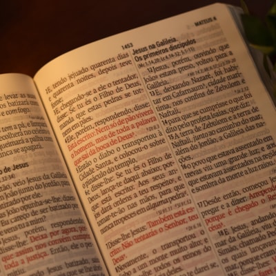 image_a087d8cf-84cb-407f-a149-cbbafe04f24a