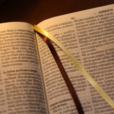 image_3ad952ae-8a0e-44fa-b967-a6451f0eaa90