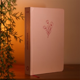 Segunda imagem do produto Bíblia Sagrada Aliança | NVI | Capa Dura