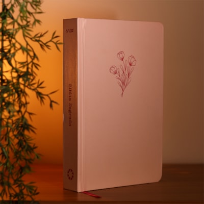 image_9513845e-ad19-4f69-8793-b1c1088af2df