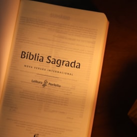 Segunda imagem do produto Bíblia Sagrada Aliança | NVI | Capa Dura