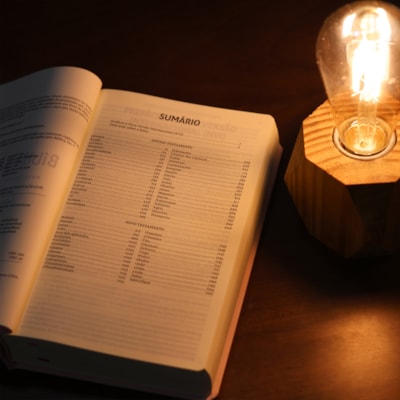 image_231eebab-dae0-43bb-8177-91a51a9ca8d9