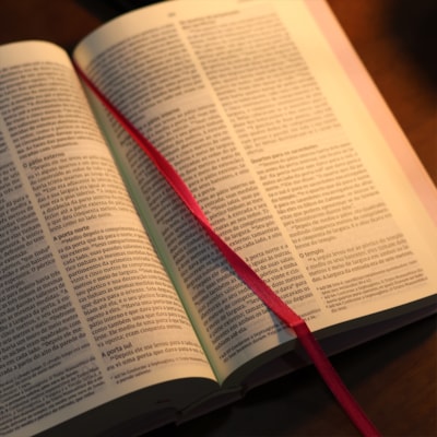 image_d4ed2dd3-dd58-4bff-ae25-3e763b0551a1