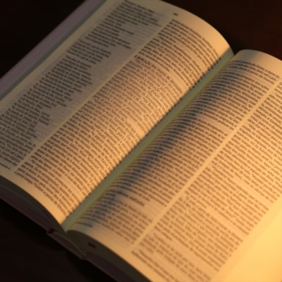 image_2f04ae18-7076-4f24-9b18-b60be210be64