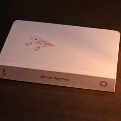 image_46e2d8d1-d405-4227-b37f-c2df92dbea86