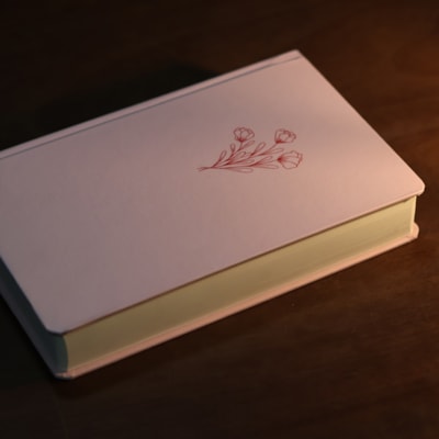 image_5bfc77c1-b7b3-4a05-9d7d-67919fba3361