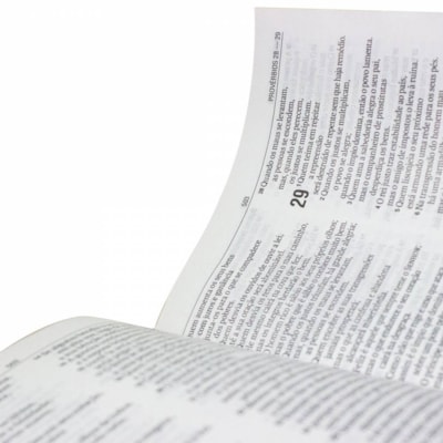 image_d59ff922-65e1-40ad-ad4d-518470ae367d