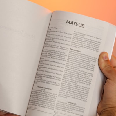 image_44a22efb-9e9a-4136-9525-e9dbe3ee466e