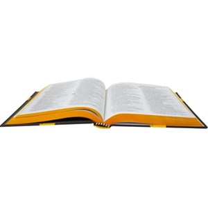 Bíblia Sagrada Amor | NAA | Capa Dura