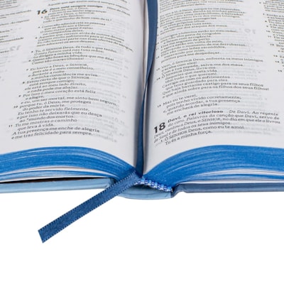 image_ae176533-68f0-41fe-8e50-bfc7ee2ef525