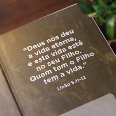 image_53d42ca1-f554-432f-9116-679f28a2a0ef