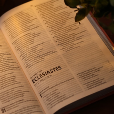 image_c5488346-cbc9-4442-9d4c-26243d7138f6