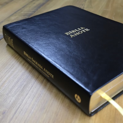 image_8438ab37-8a9d-474c-8f51-140feef361e3