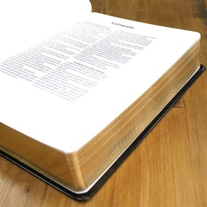 Bíblia Sagrada Anote | ARC | Letra Grande | Capa Luxo Preta