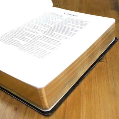 image_a6a07a0d-375c-4865-a671-802095e98c29