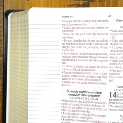 image_5feeec34-7c53-4b87-9b4a-51b6cfe6ee4e