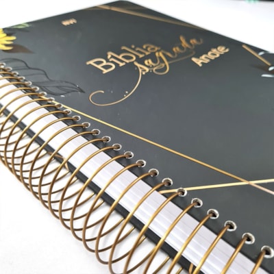 image_08494f78-4ba7-415f-a91c-e60113627e4d