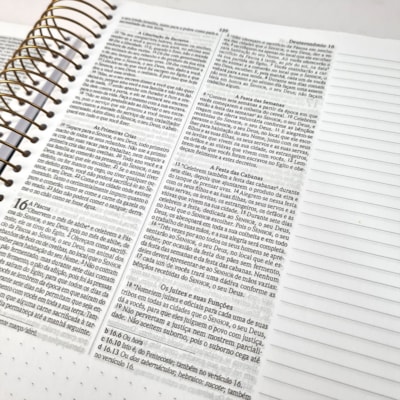 image_053bb346-8d31-48da-bce3-b1ba8dc3e28c