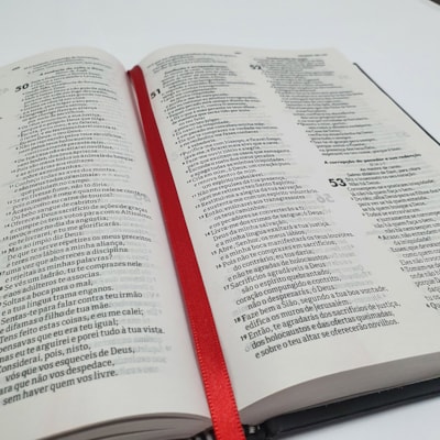 image_02768e12-1c57-4c45-912c-ad6e0e17abfa