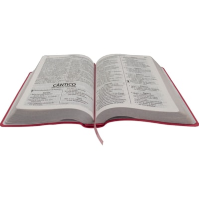 image_7989bec9-8b62-4243-a73d-c0f12eb411fe