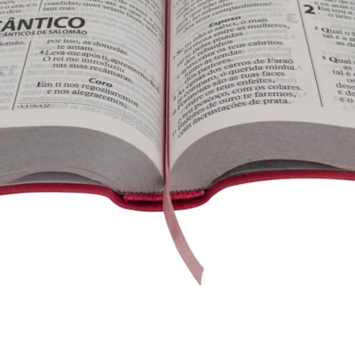 image_031c2357-9056-4ebc-a1e5-1088d08e4ca9