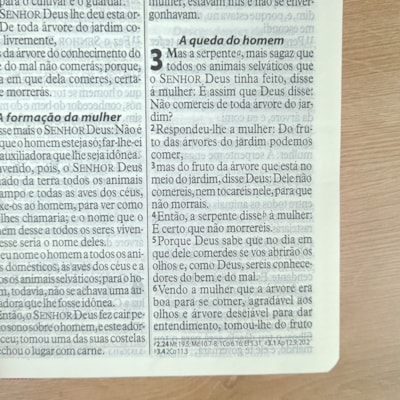 image_456623e0-5461-436f-828d-1f7ef5cfa98e