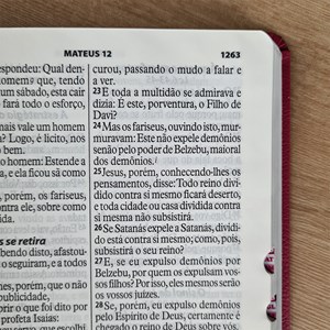 Bíblia Sagrada | ARA | Letra Gigante | Capa Turquesa e Pink C/ Índice