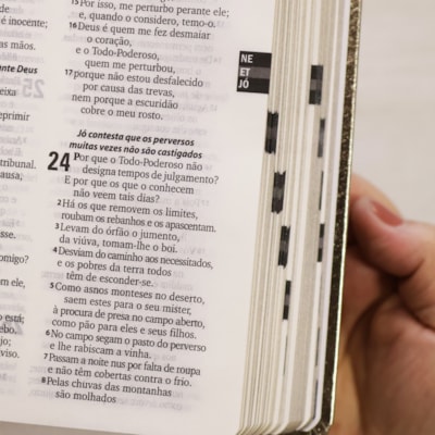 image_b6023816-ec91-4c4f-84dd-bb31ea545054