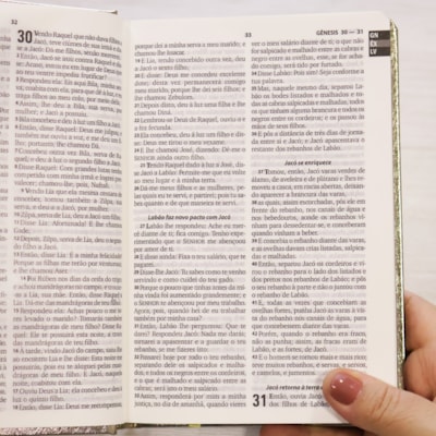 image_42f135b6-a67b-4030-82ae-fbb390af3fab