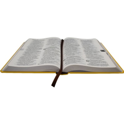 image_4c21d7d0-cef1-463b-a4ce-86c26acce107