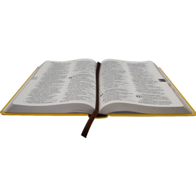 image_19042691-d5f5-4025-bc4b-a8ed0325128c