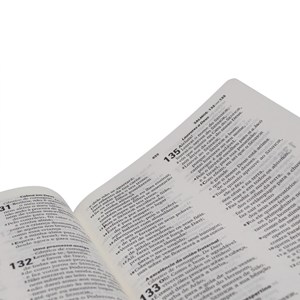Bíblia Sagrada | ARA | Letra Grande | Capa Dura Ouro