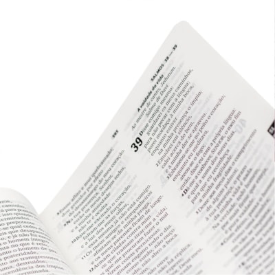 image_d31d8d01-bfd9-485a-b712-5718ccc92ae1