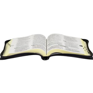 Bíblia Sagrada | ARA | Letra Grande | Capa Luxo Preta c/ Zíper