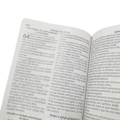 image_09aa7905-d8cc-49b6-98de-197ac7ed0f3c