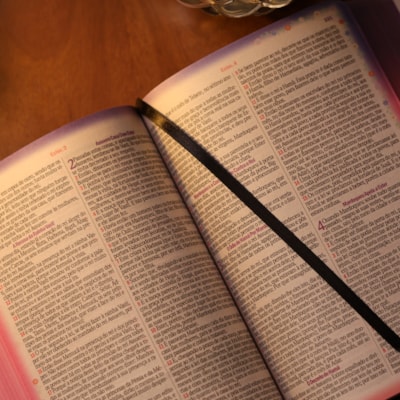 image_dd265212-a7d2-48cb-9c6c-21b227d3d22a