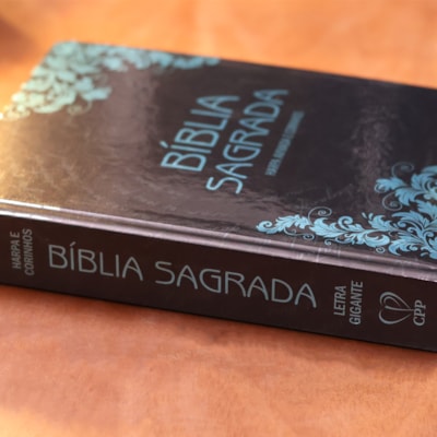 image_d3b9c42f-3265-45c4-8bc6-5f3aea3f40f0