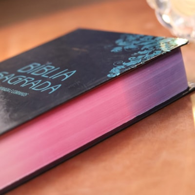 image_c35c63c0-9d34-42b8-9ef0-0e584ed6d21f