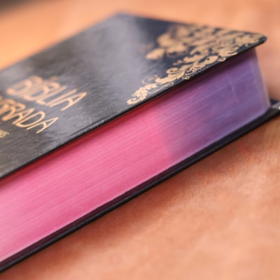 image_89707a96-441b-495d-bf3c-c1ce8b0e2396