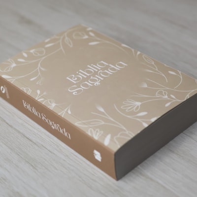 image_87df4ead-3587-4992-8a1b-68400c25b118